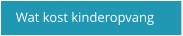 Wat kost kinderopvang